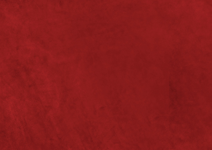 Odessa Velvet, Scarlet - Twist&Fit Roman Blind - Image 8